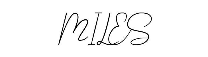 Shellomita  Free Fonts Download