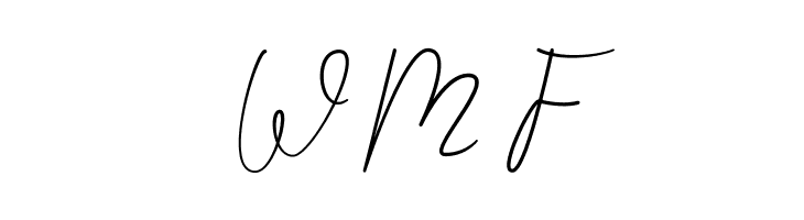 Shellomita  Free Fonts Download