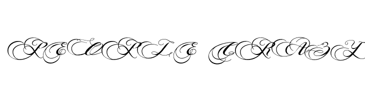 PhotographScriptFreePersonal  Free Fonts Download