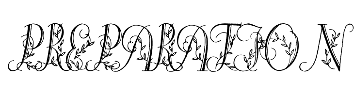 Springtime_Flourish  Free Fonts Download