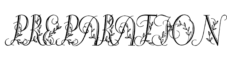 Springtime_Capitals  Free Fonts Download