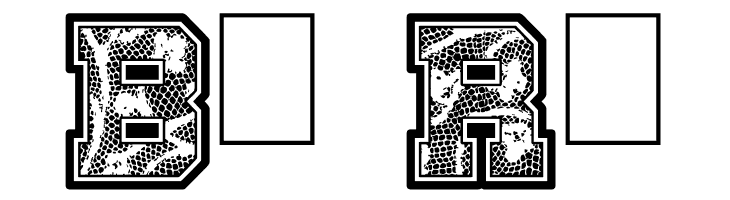 Cheer Lace Leader  Free Fonts Download