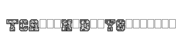 Cheer Lace Leader  Free Fonts Download