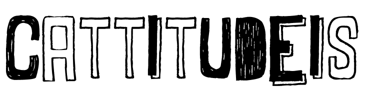 Maybe Maybe Not  Free Fonts Download