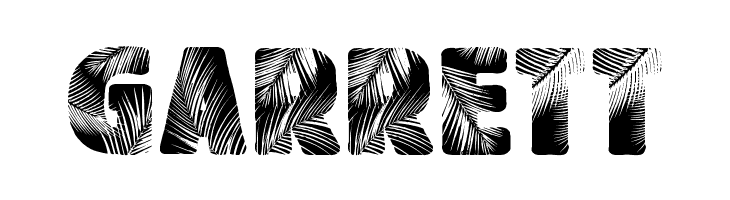 Palm Beach  Free Fonts Download