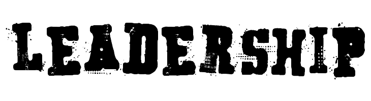 Secret Agency  Free Fonts Download