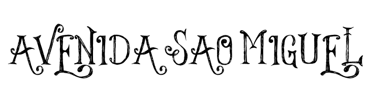 Things We Said  Free Fonts Download