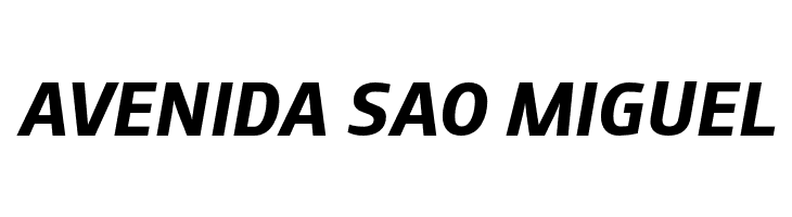 AugustSansReduced-BoldItalic  Free Fonts Download