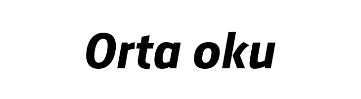 AugustSansReduced-BoldItalic  Free Fonts Download