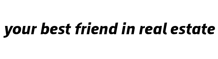 AugustSansReduced-BoldItalic  Free Fonts Download