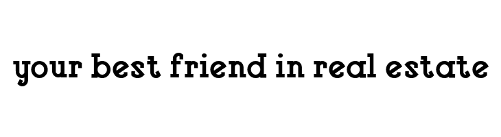 Vlaanderen Square NF  Free Fonts Download