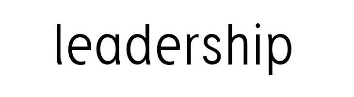 Josef reduced Light  Free Fonts Download