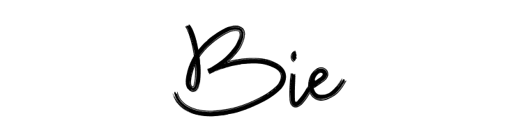 Budhayanti Script  Free Fonts Download