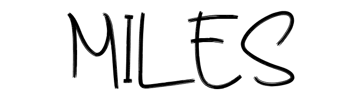 Budhayanti Script  Free Fonts Download