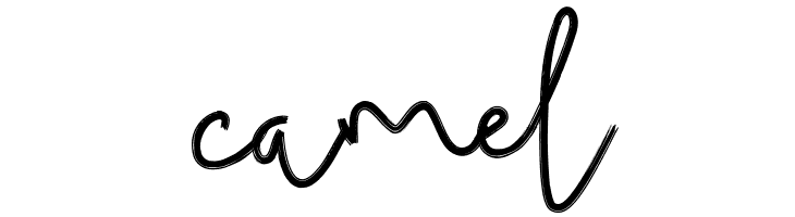 Budhayanti Script  Free Fonts Download