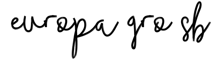 Budhayanti Script  Free Fonts Download