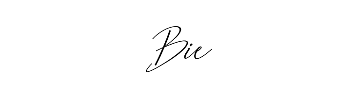 Bethany Script  Free Fonts Download