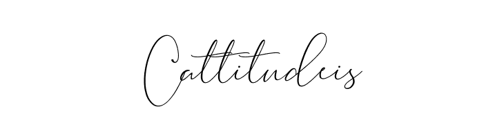 Brooke Smith Script  Free Fonts Download