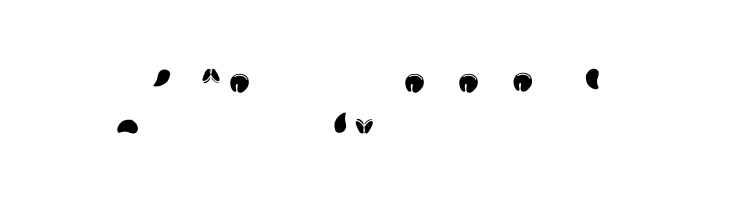 Semi Head  Free Fonts Download