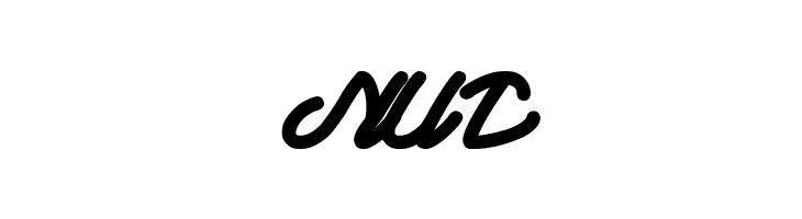 Autopilot Bold  Free Fonts Download