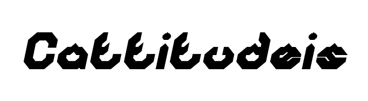 BIZZARE Bold Italic  Free Fonts Download