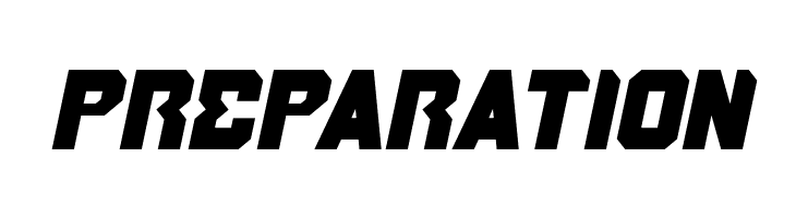 BROTHER Bold Italic  Free Fonts Download