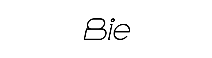 ELECTRIC CITY Bold Italic  Free Fonts Download