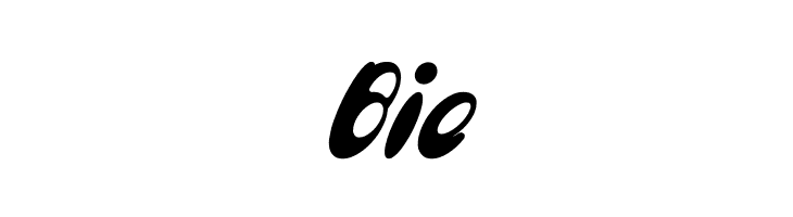 Enjoy The Time Bold Italic  Free Fonts Download