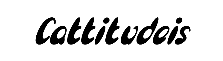 Enjoy The Time Bold Italic  Free Fonts Download