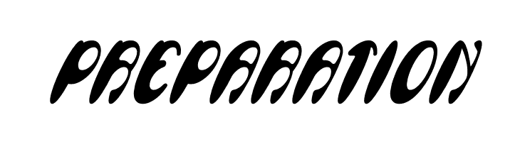 Enjoy The Time Bold Italic  Free Fonts Download