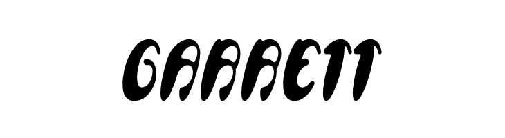 Enjoy The Time Bold  Free Fonts Download