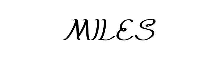 Everybody-Italic  Free Fonts Download