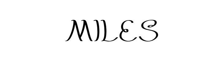 EverybodyLight  Free Fonts Download