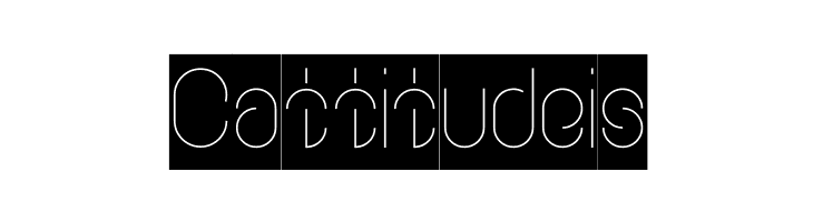 EVERYTHING-Inverse  Free Fonts Download