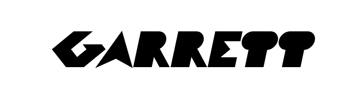 FLIGHT STEWARDESS Bold Italic  Free Fonts Download