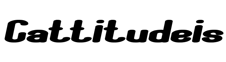 Fun Raiser Bold Italic  Free Fonts Download