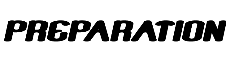 Fun Raiser Bold Italic  Free Fonts Download