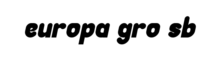 Great Leader Bold Italic  Free Fonts Download