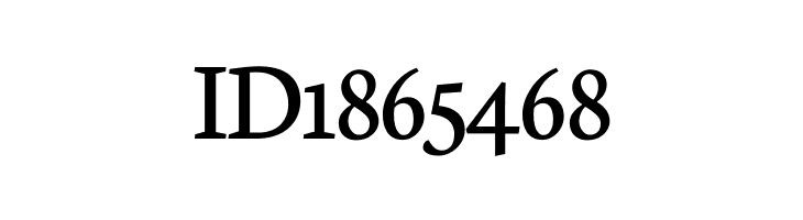 Neuton SC Regular  Free Fonts Download