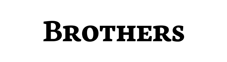 Neuton SC Bold  Free Fonts Download