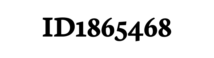 Neuton SC Bold  Free Fonts Download