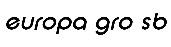 SF New Republic Bold Italic  Free Fonts Download