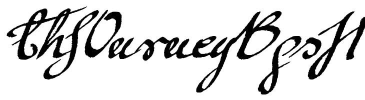 Mickey Script 1.20  Free Fonts Download