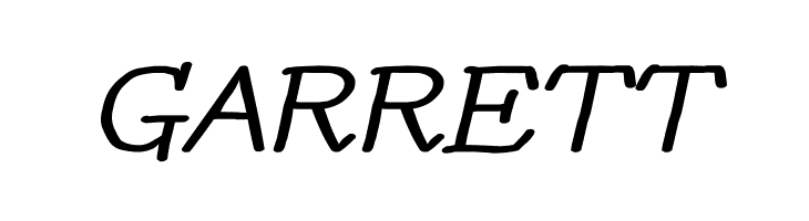 YOzFontNP04 Bold Italic  Free Fonts Download