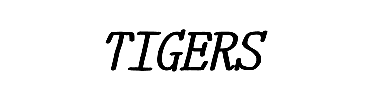 YOzFontE04 Bold Italic  Free Fonts Download