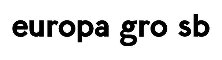 LilGrotesk Bold  Free Fonts Download