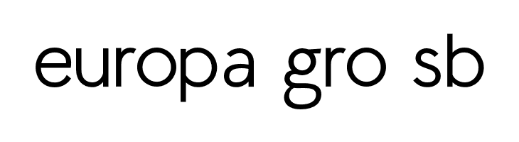 LilGrotesk  Free Fonts Download