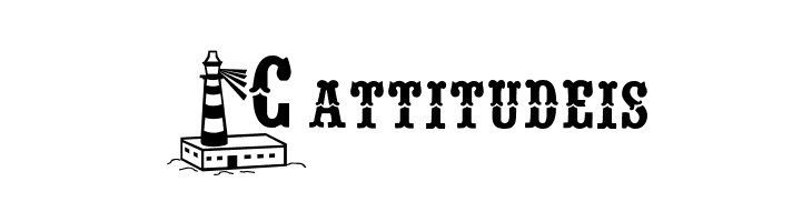 BJF Beacon of Light  Free Fonts Download