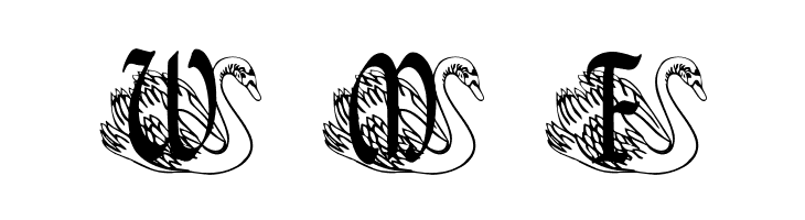 BJF Ugly Duckling  Free Fonts Download