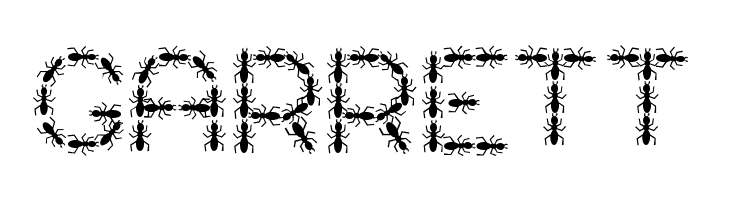 ANTY Bold  Free Fonts Download